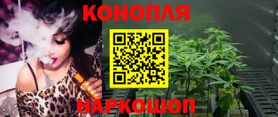 гашик Кимры