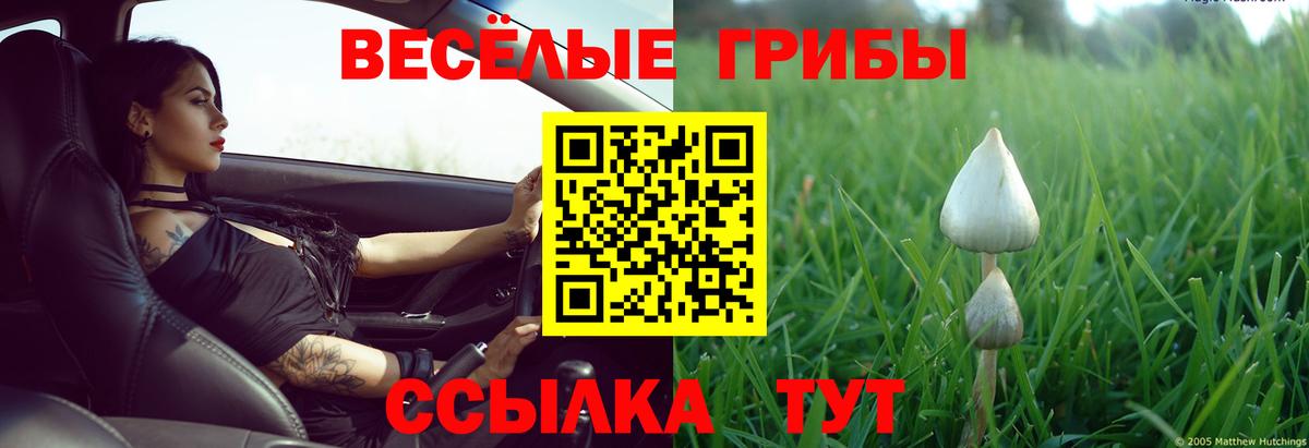 Галлюциногенные грибы Psilocybe Алапаевск